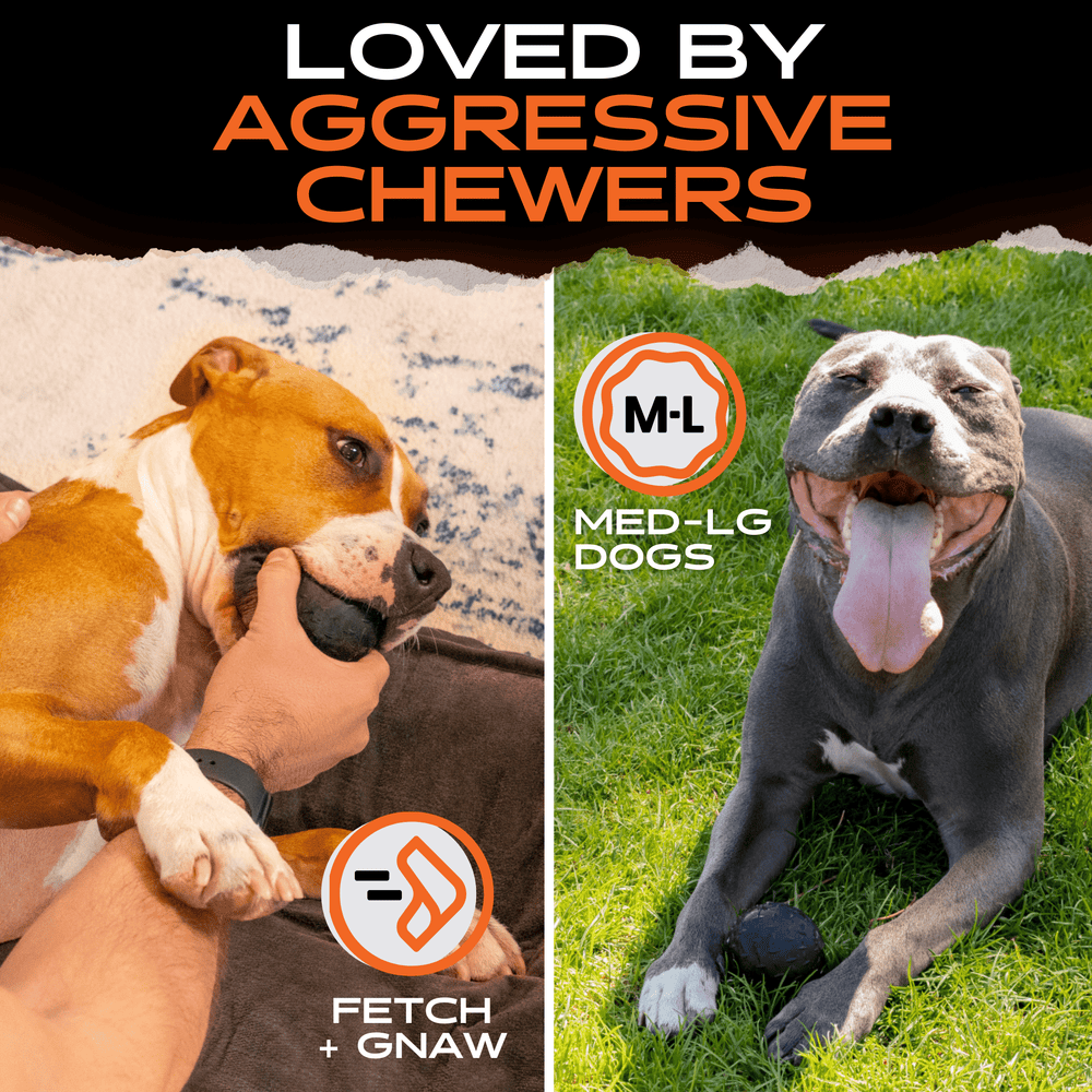 Monster K9 Dog Toys - Beast Ball