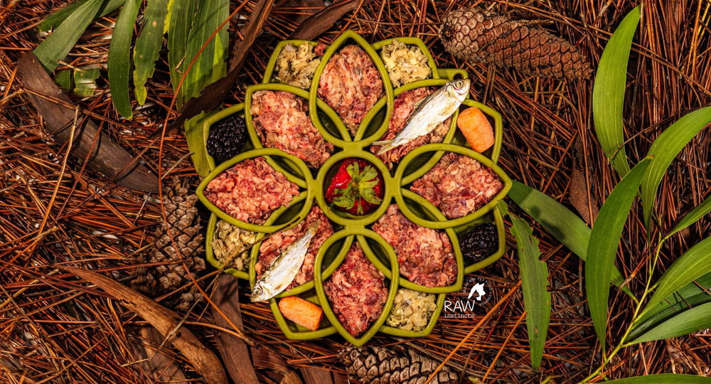 Raw Instincts - Raw Beef & Wild-Caught Salmon Meal Blend for Cats & Dogs (PMR)