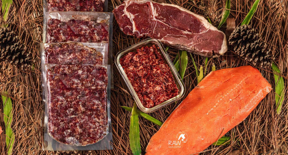 Raw Instincts - Raw Beef & Wild-Caught Salmon Meal Blend for Cats & Dogs (PMR)