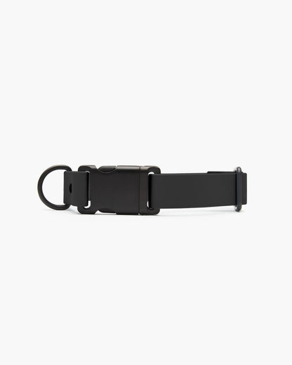 Fable - Signature Dog Collar