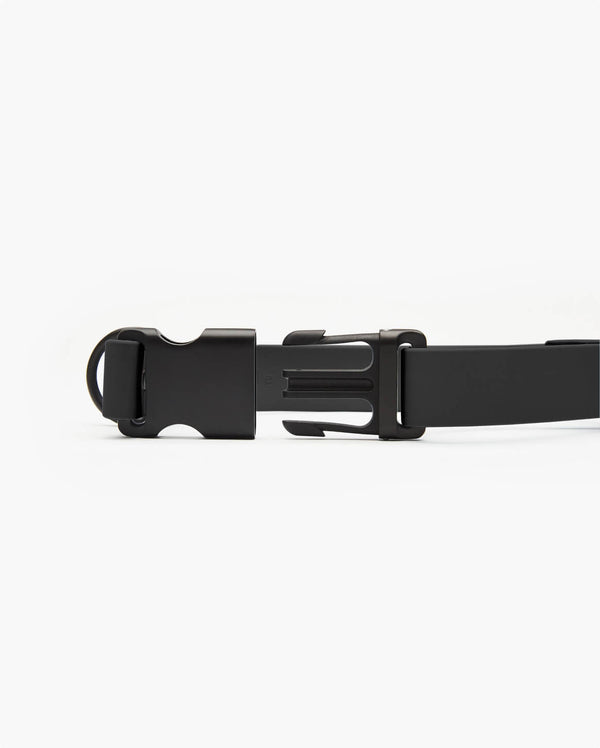 Fable - Signature Dog Collar