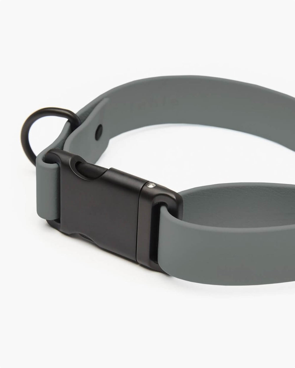 Fable - Signature Dog Collar