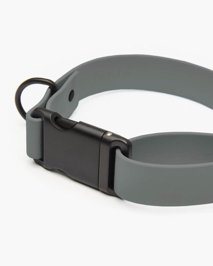 Fable - Signature Dog Collar