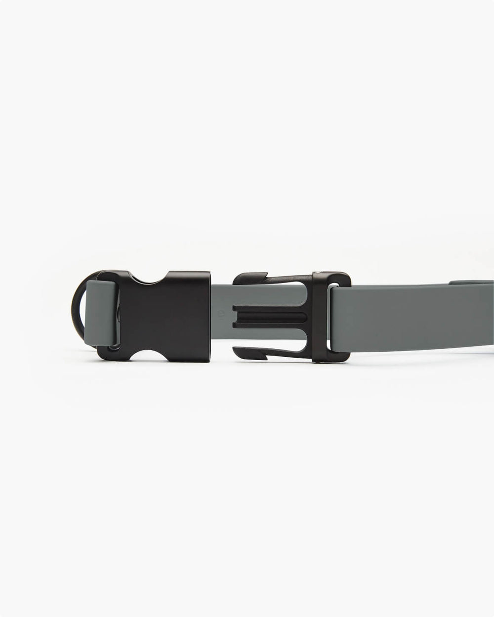 Fable - Signature Dog Collar
