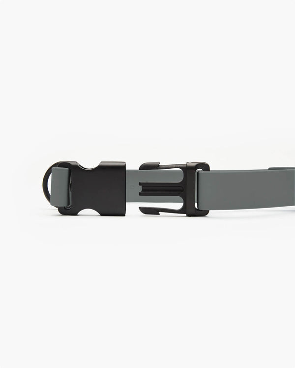 Fable - Signature Dog Collar