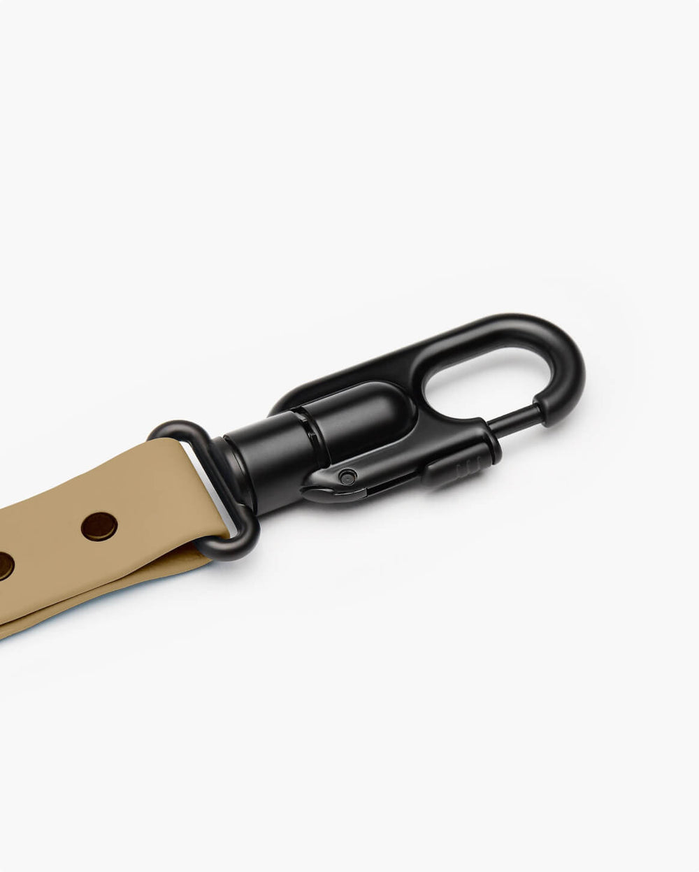 Fable - Signature Dog Collar