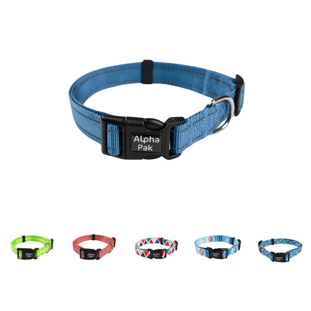 Alpha Pak - Everyday Adventure Dog Collar