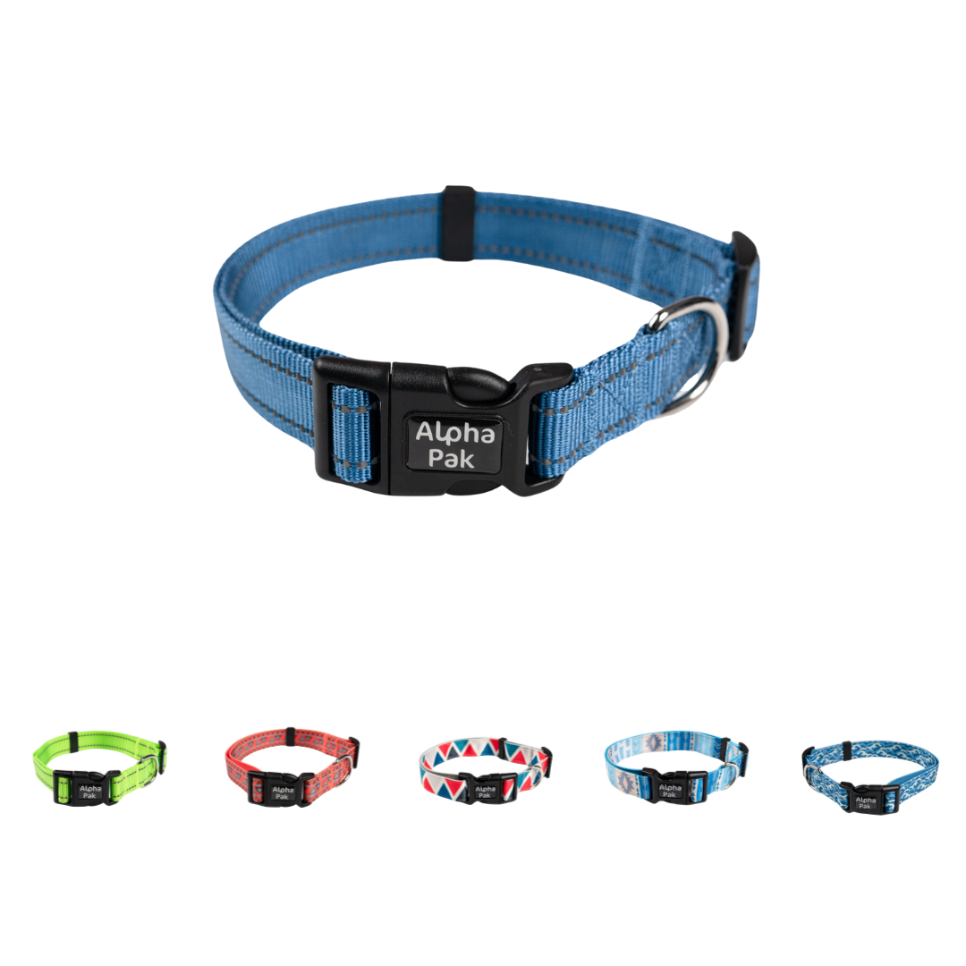 Alpha Pak - Everyday Adventure Dog Collar
