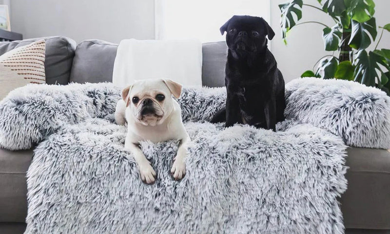 Anti-Anxiety Dog Sofa Bed