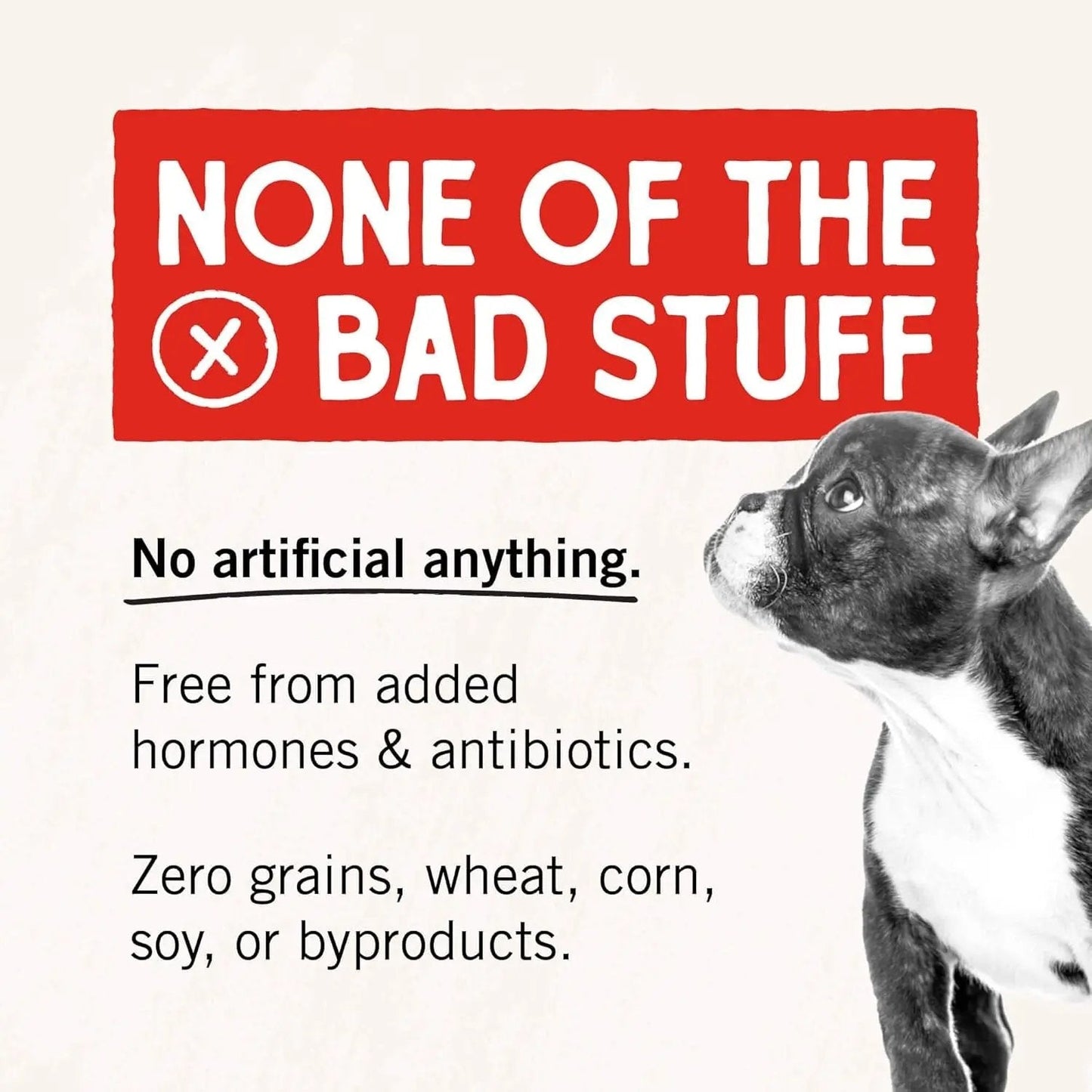 Stella & chewy's - Freeze-Dried Raw Chicken Breast Dog Treats - Single Ingredient, No Additives - Premium Training Treats - Perfect for Picky Eaters - 2.75Oz Bag