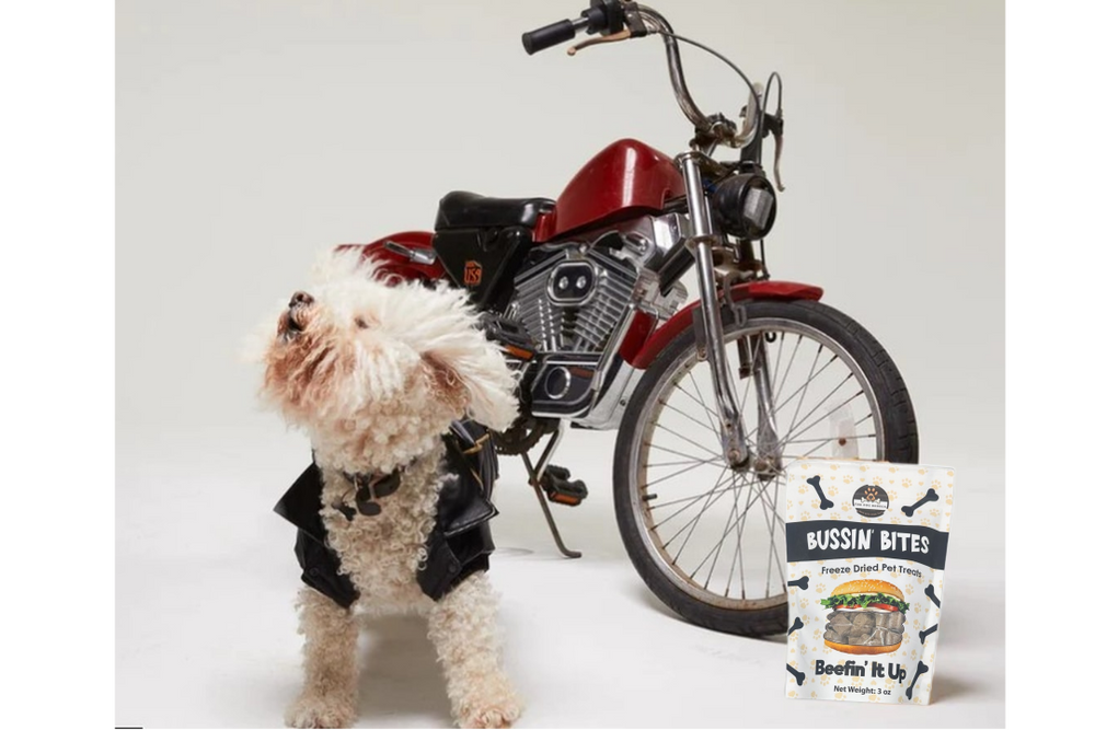 Single Ingredient, High Value Freeze-Dried Training Treats for Dogs & Cats - Beef Liver