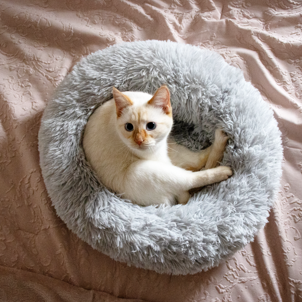 Jolly Pets - Kitty Kasa Plush Donut Cat Bed