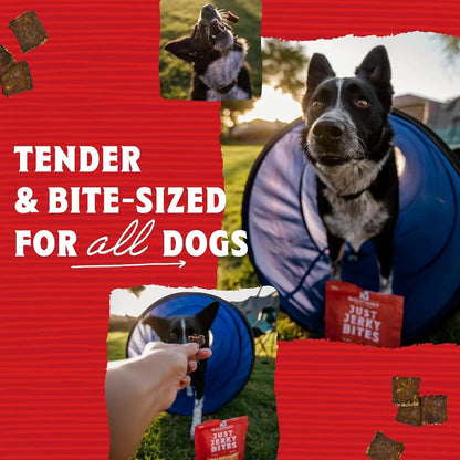 Stella & chewy's - Premium Beef Jerky Dog Treats - 95% Real Meat Bites for Sensitive Stomachs