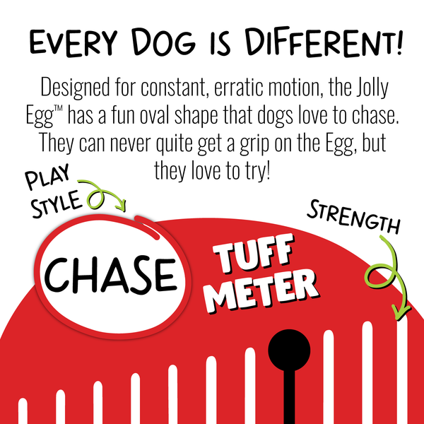 Jolly Pets - Jolly Egg