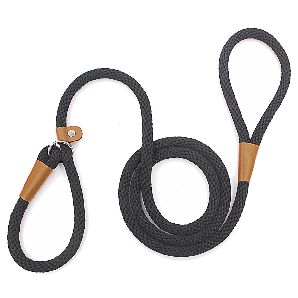 Dog Leash Slip Lead with Snap Hook