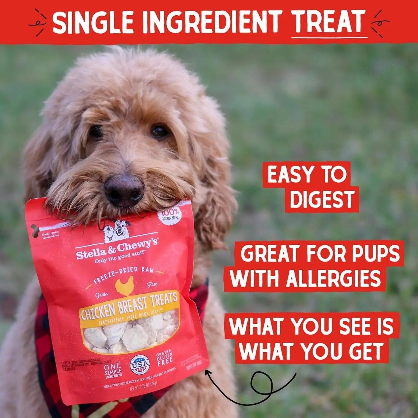 Stella & chewy's - Freeze-Dried Raw Chicken Breast Dog Treats - Single Ingredient, No Additives - Premium Training Treats - Perfect for Picky Eaters - 2.75Oz Bag