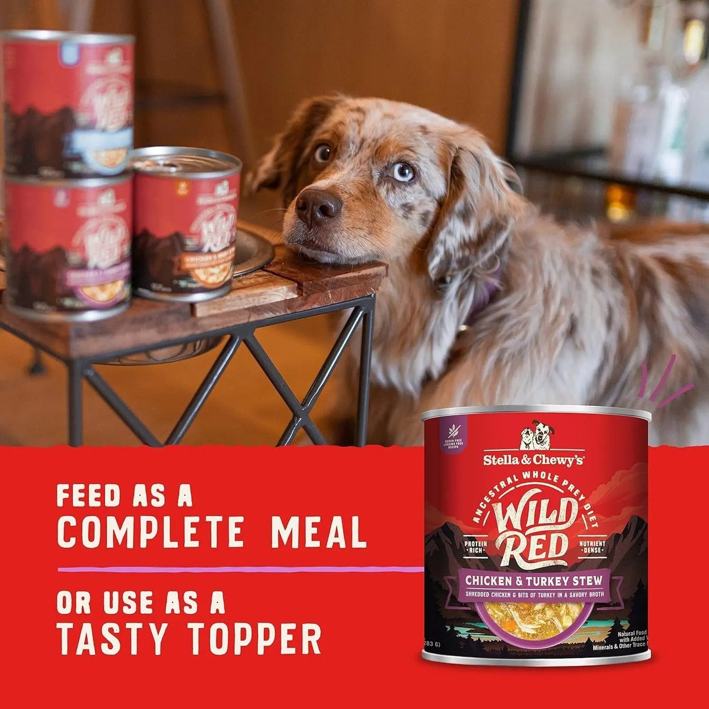 Stella & chewy's - Wild Red Wet Dog Food Chicken & Turkey Stew High Protein Recipe, 10 Ounce (Pack of 6)