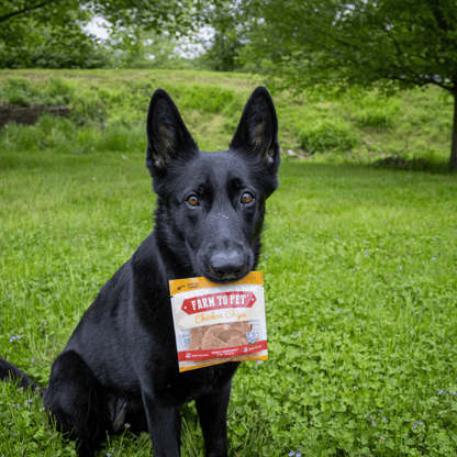 Farm To Pet - Chicken Chips Snack Pack Bundles | Dog Party Favors & Training Treats