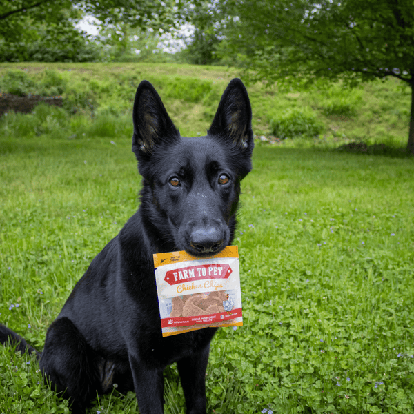 Farm To Pet - Chicken Chips Snack Pack Bundles | Dog Party Favors & Training Treats