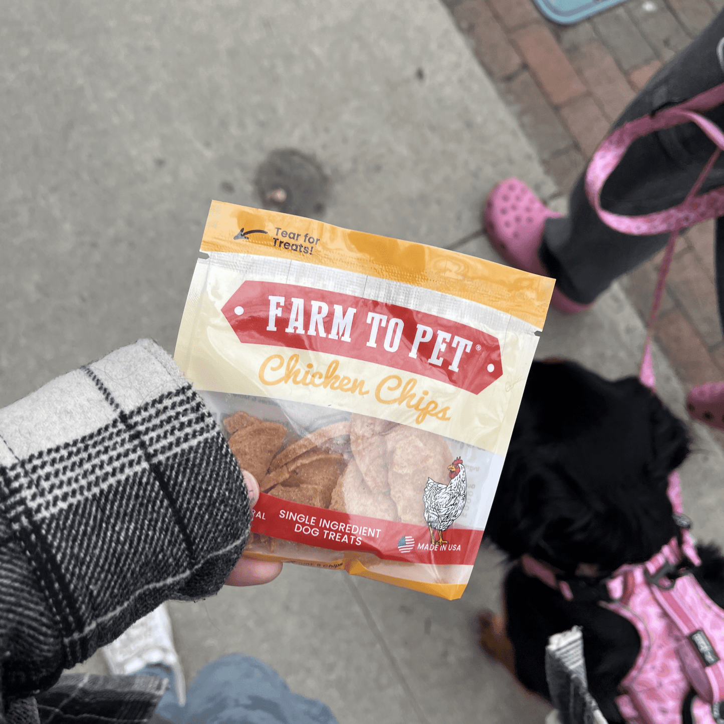 Farm To Pet - Chicken Chips Snack Pack Bundles | Dog Party Favors & Training Treats