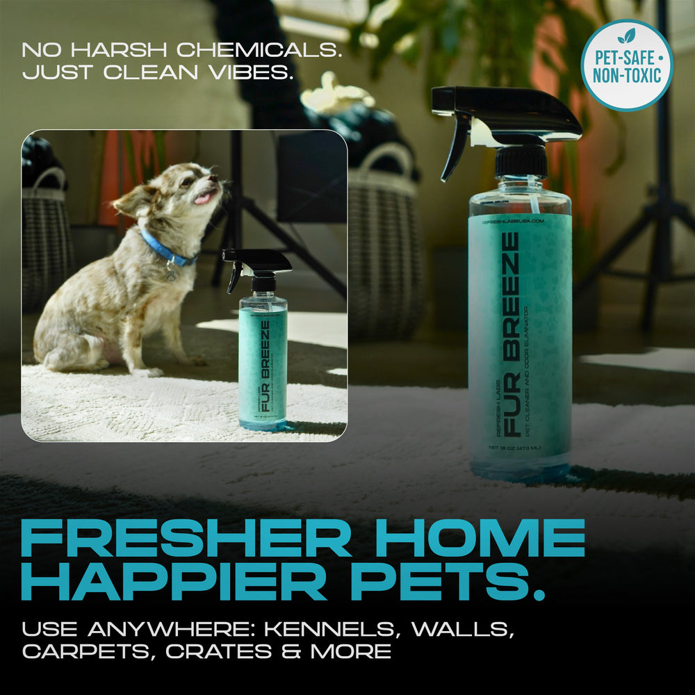 Pet Odor Reset Kit – Indoor & Outdoor Enzyme Cleaner for Dog & Cat Odor | Turf, Floors, Furniture & Home