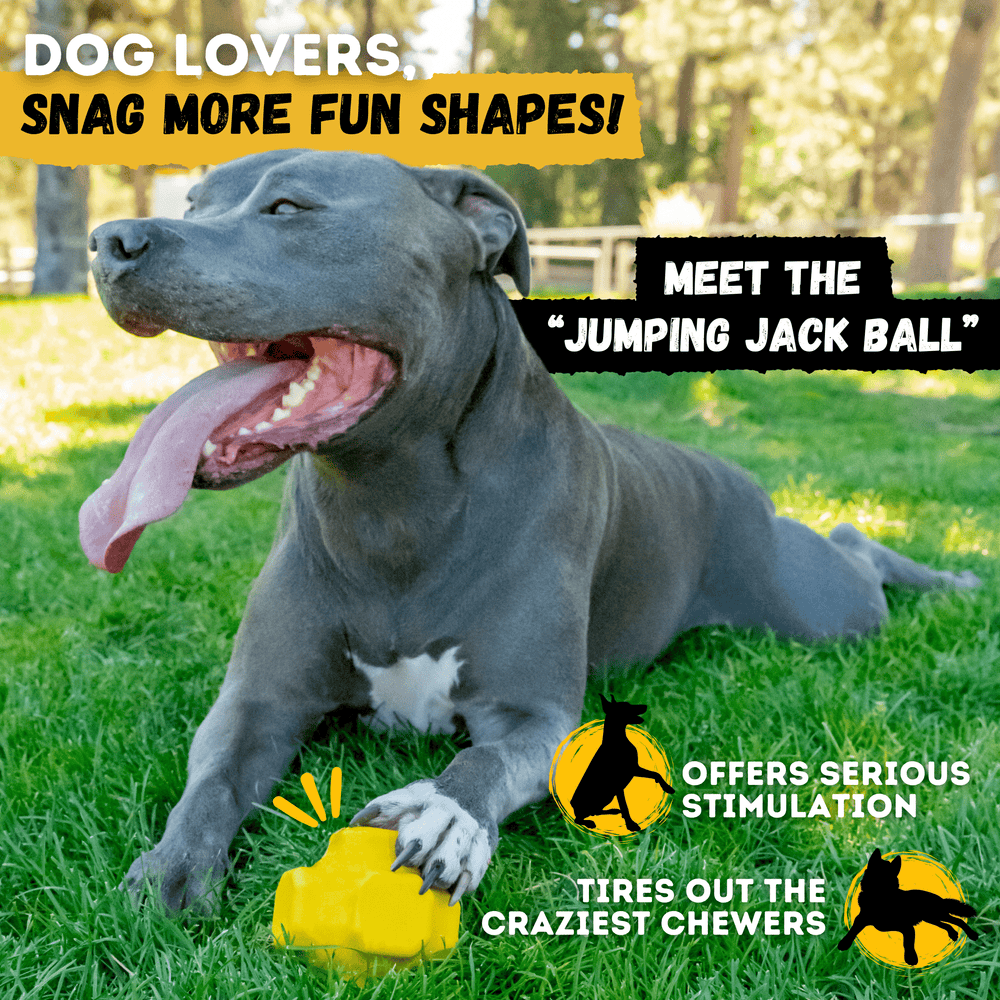 Monster K9 Dog Toys - Giant Ring Ball