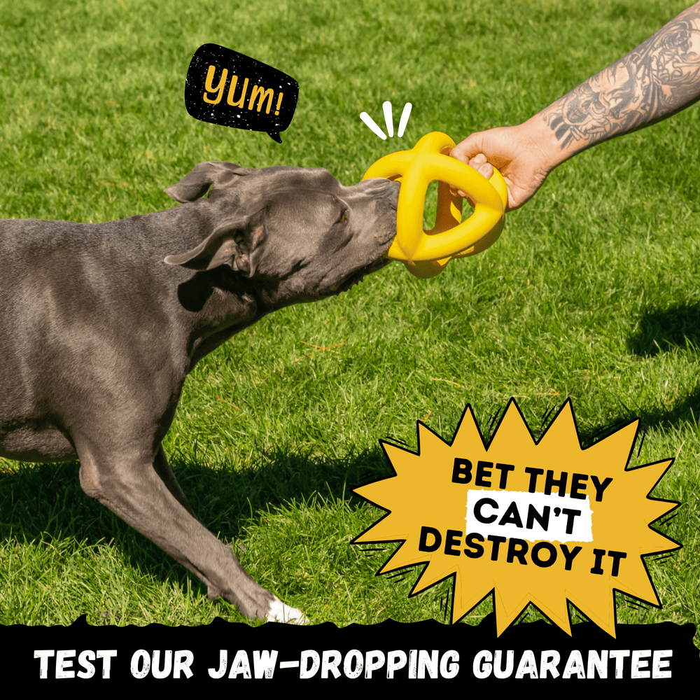 Monster K9 Dog Toys - Giant Ring Ball