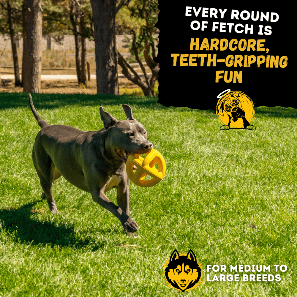Monster K9 Dog Toys - Giant Ring Ball