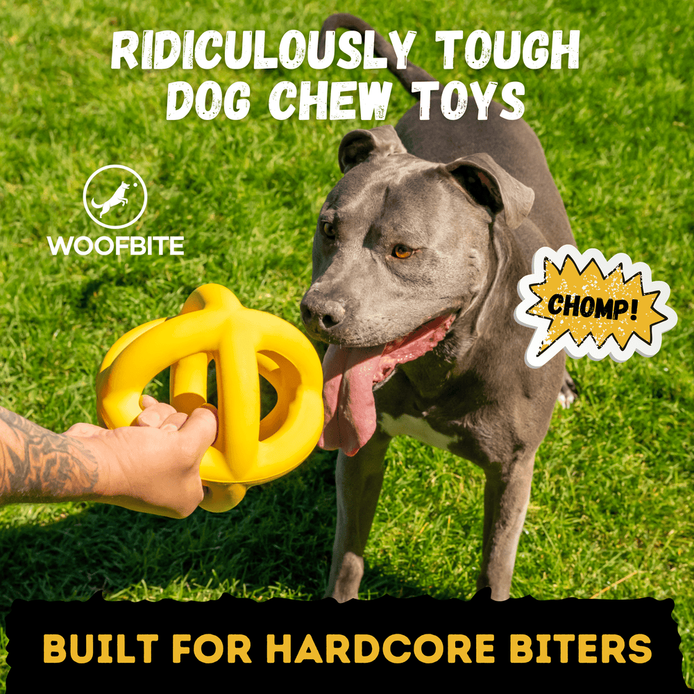 Monster K9 Dog Toys - Giant Ring Ball