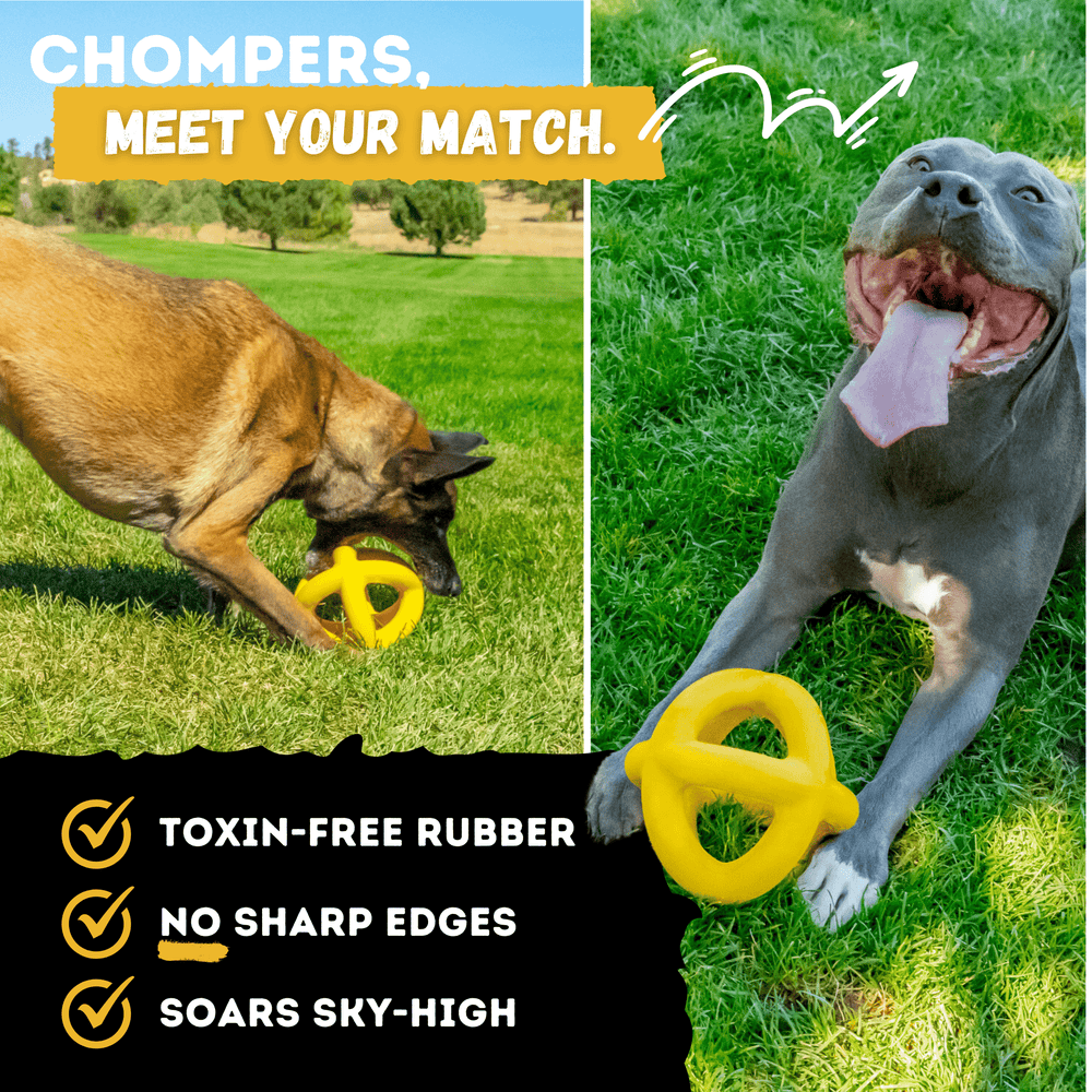 Monster K9 Dog Toys - Giant Ring Ball