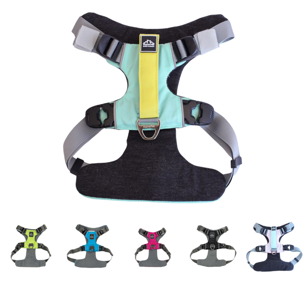 Alpha Pak - Everyday Adventure Dog Harness