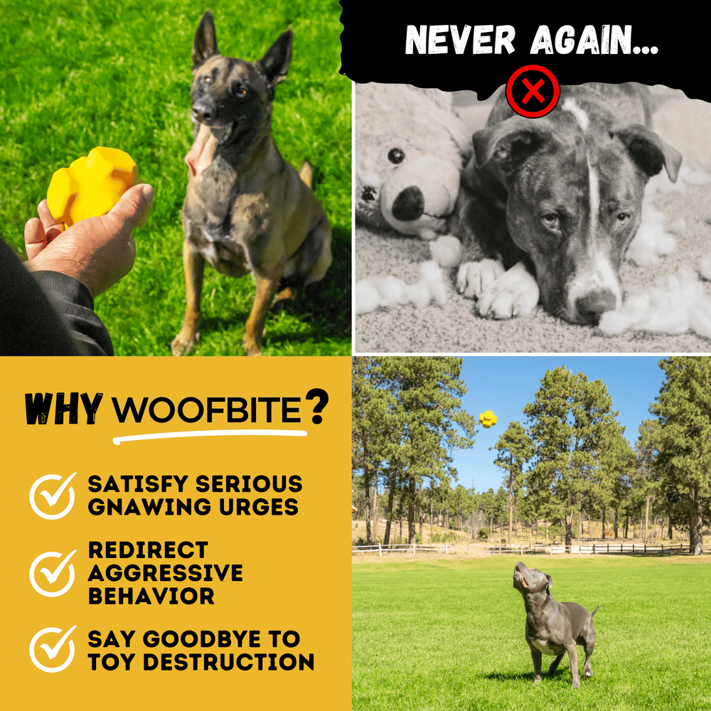 Monster K9 Dog Toys - Jumping Jack