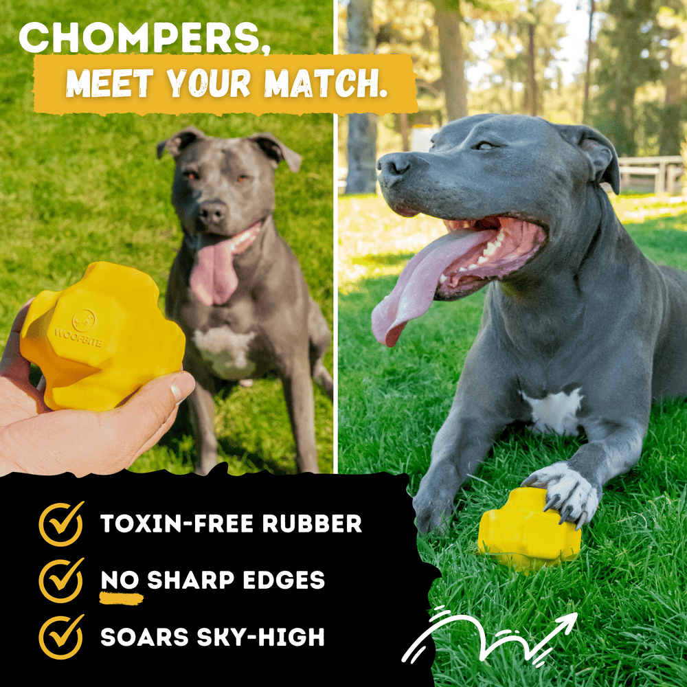 Monster K9 Dog Toys - Jumping Jack