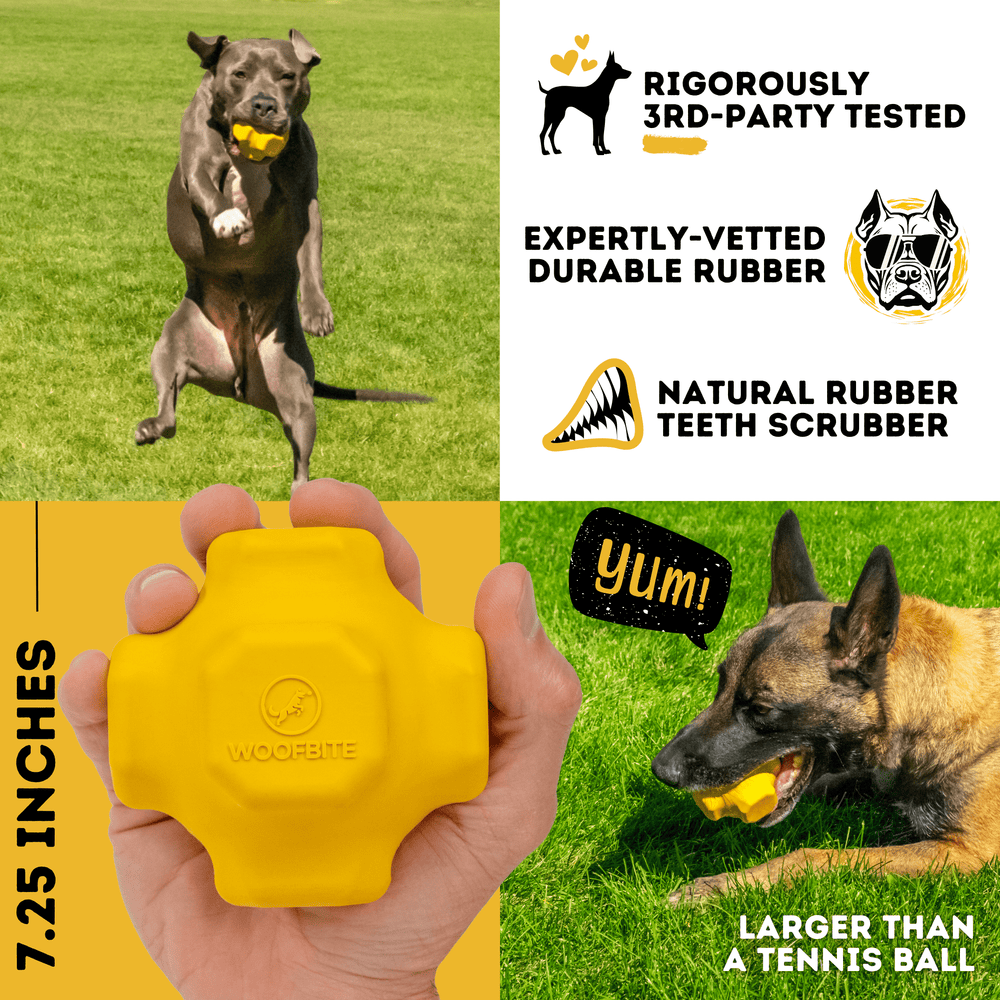 Monster K9 Dog Toys - Jumping Jack