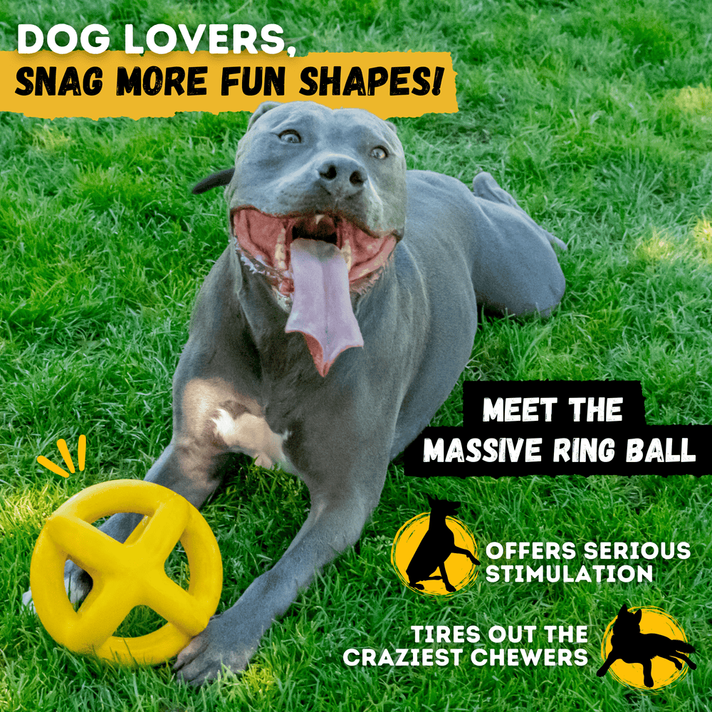 Monster K9 Dog Toys - Jumping Jack