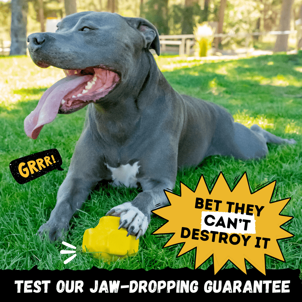 Monster K9 Dog Toys - Jumping Jack