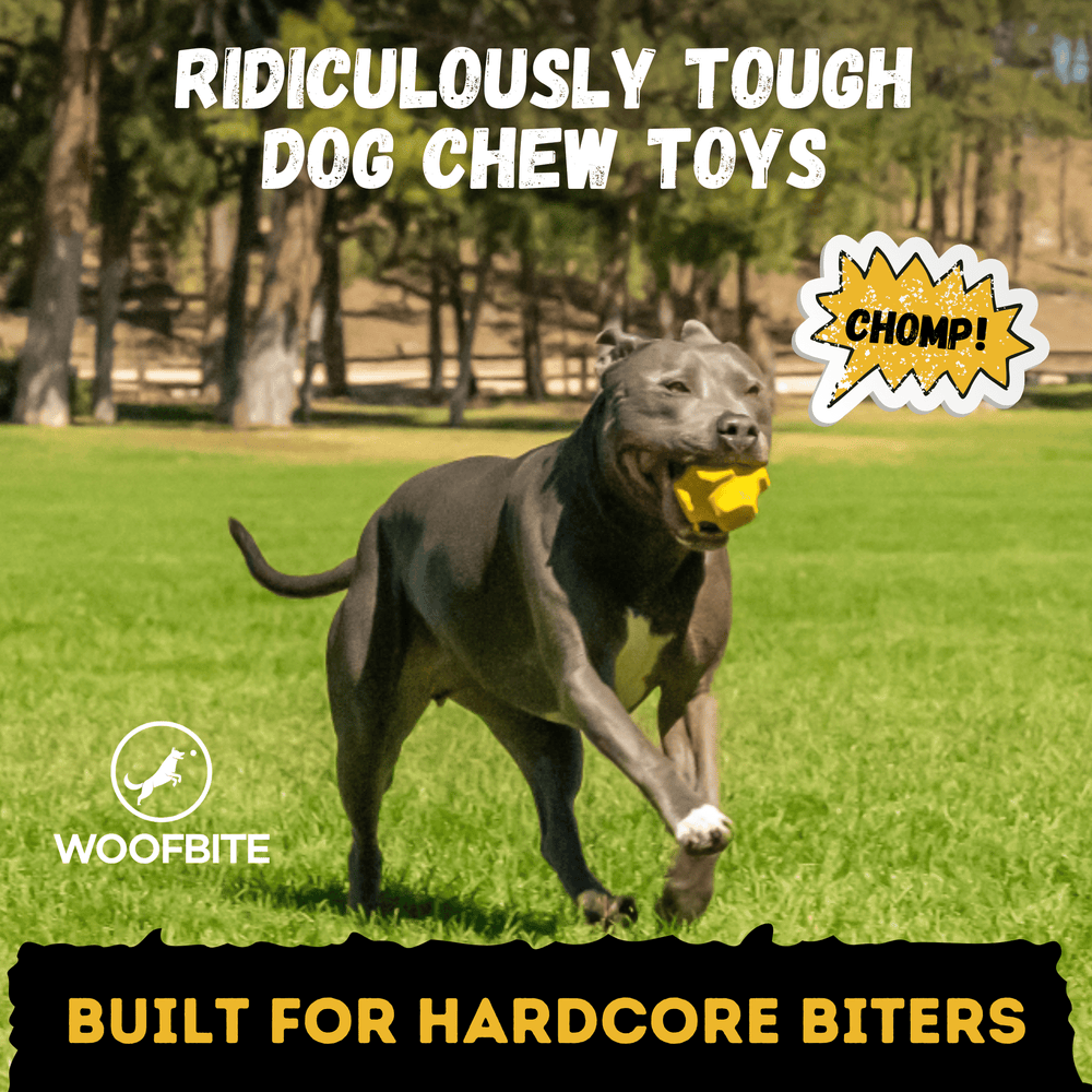 Monster K9 Dog Toys - Jumping Jack