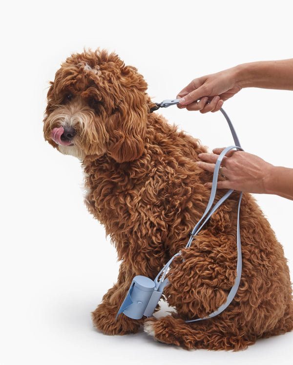Fable - Signature Dog Leash