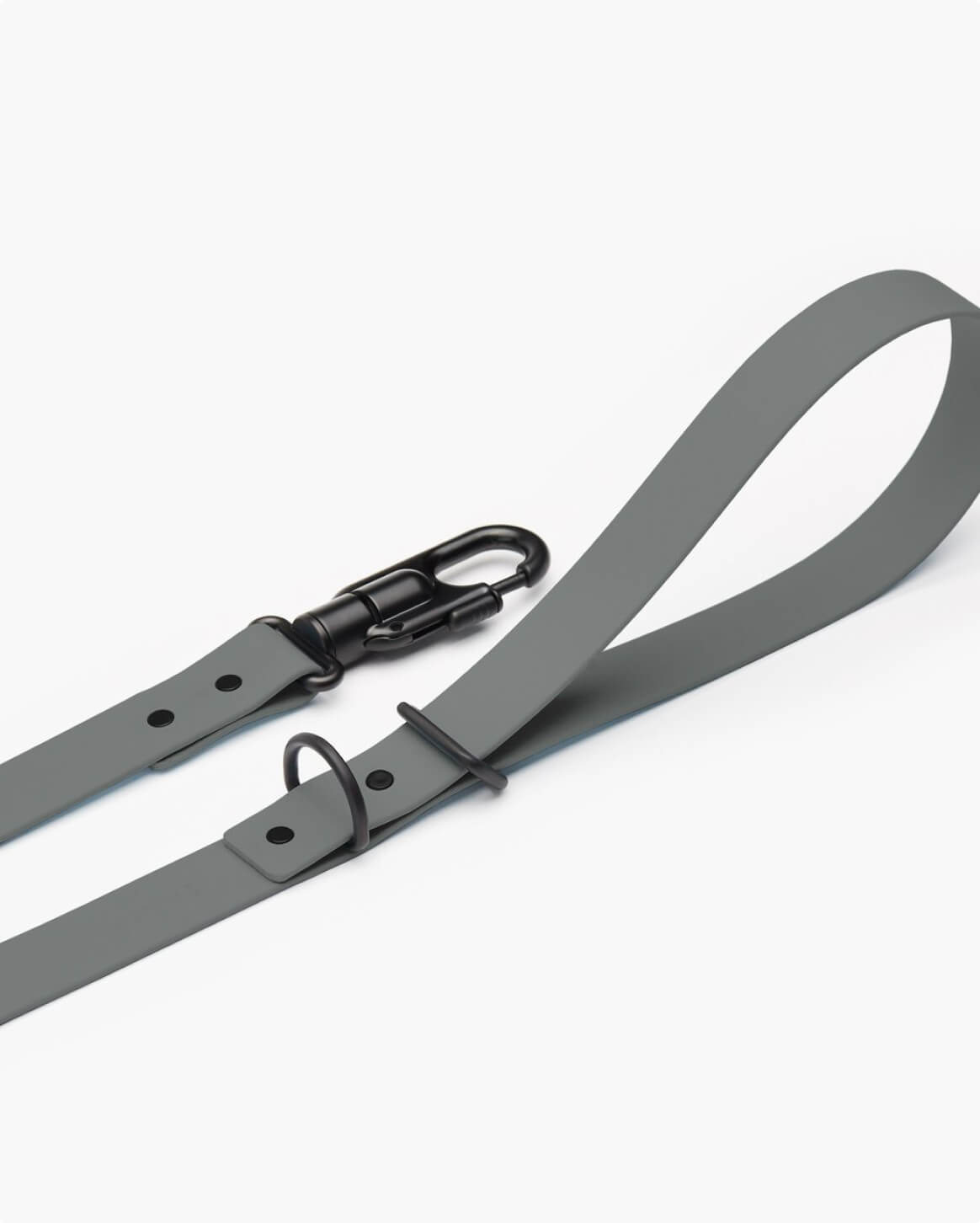 Fable - Signature Dog Leash