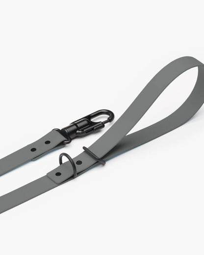 Fable - Signature Dog Leash