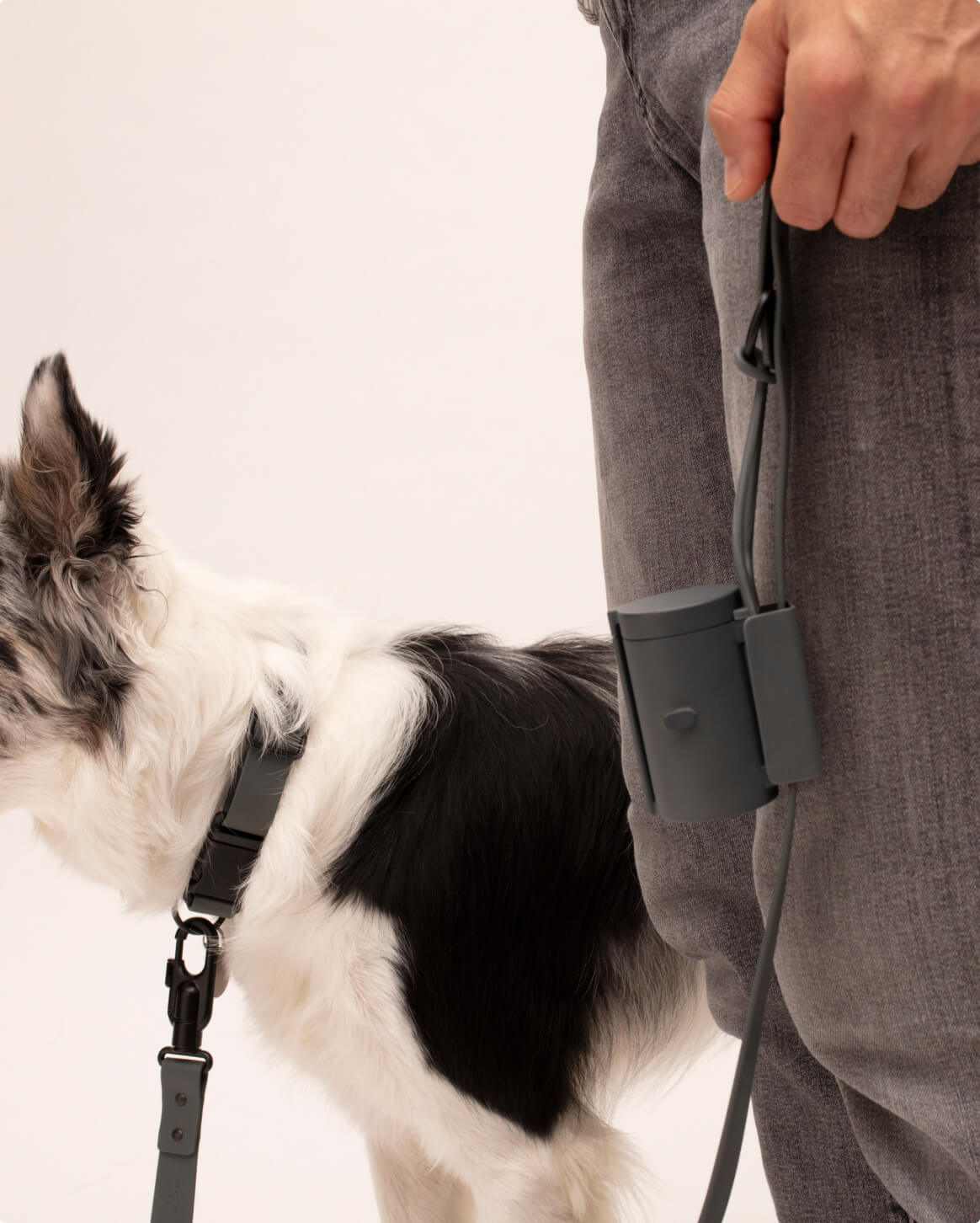 Fable - Signature Dog Leash