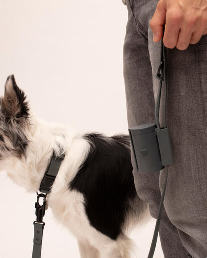 Fable - Signature Dog Leash