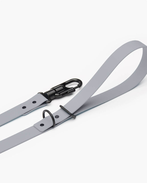 Fable - Signature Dog Leash
