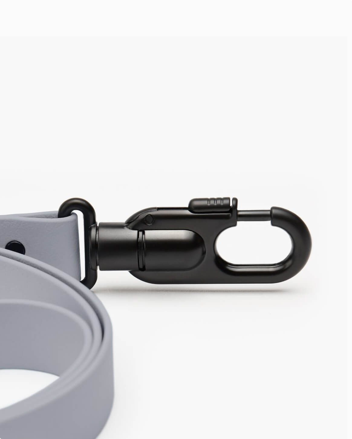 Fable - Signature Dog Leash
