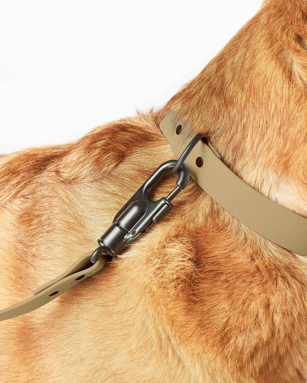 Fable - Signature Dog Leash