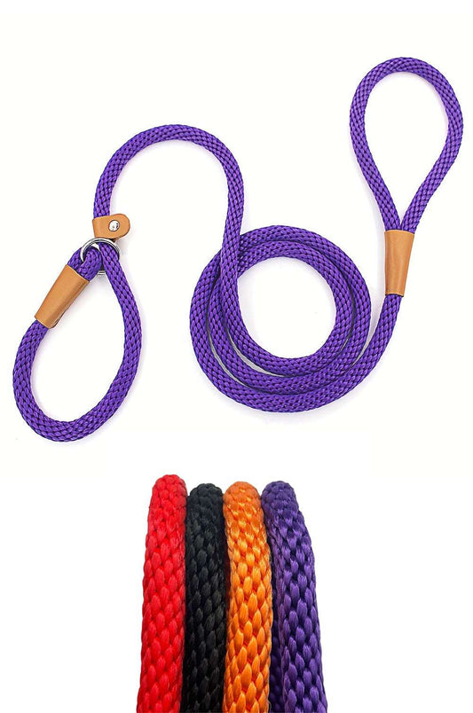 Dog Leash Slip Lead with Snap Hook