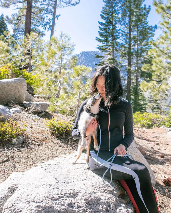 Fable - Magic Link® Dog leash