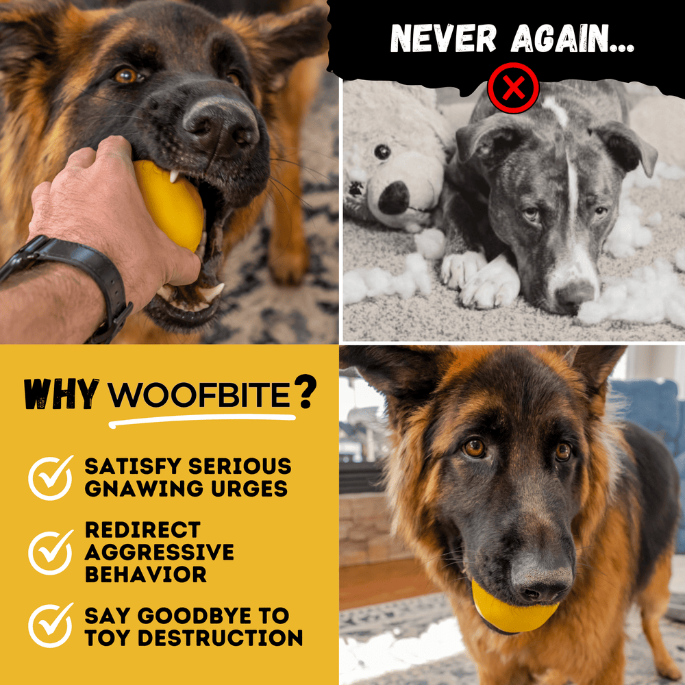 Monster K9 Dog Toys - Power Ball