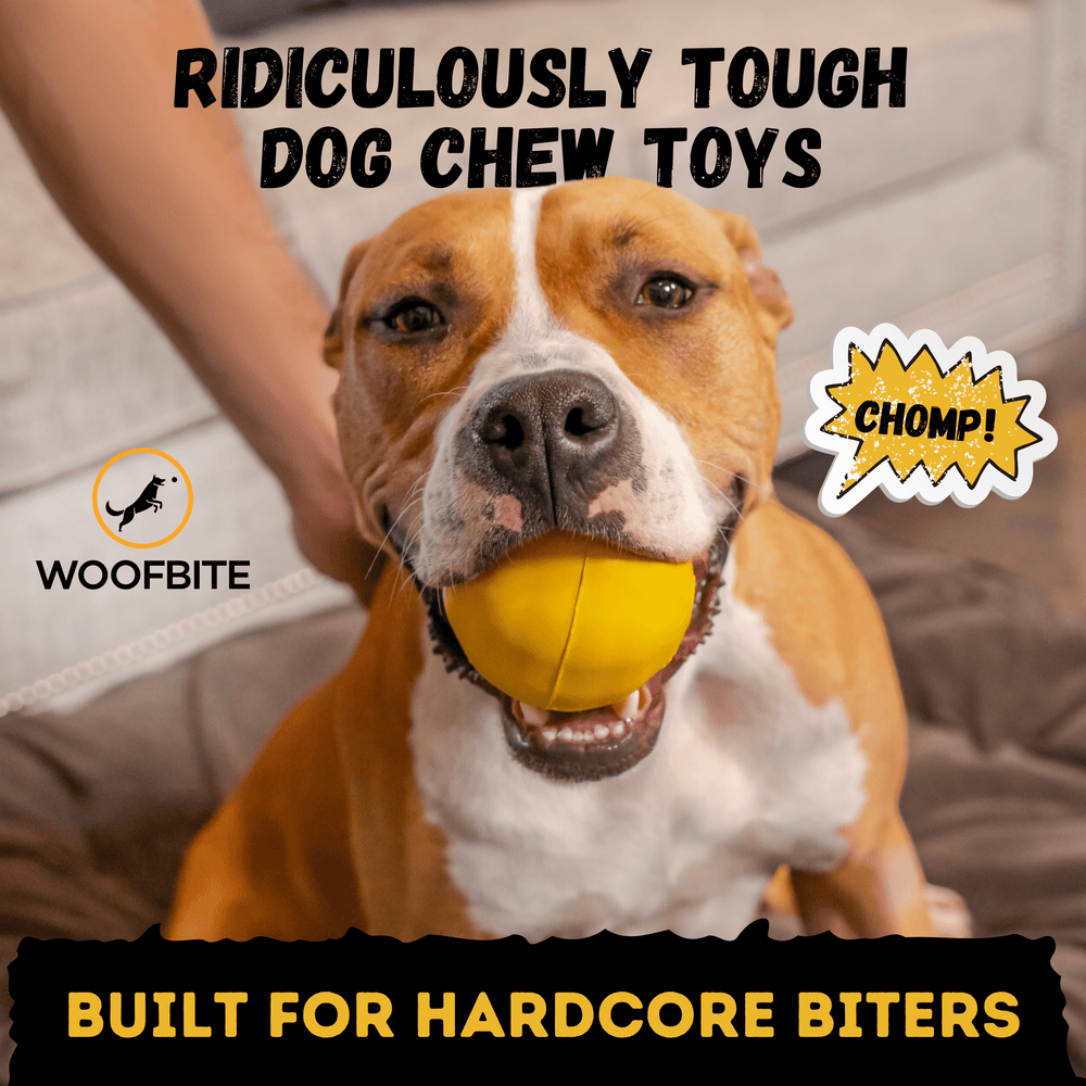Monster K9 Dog Toys - Power Ball