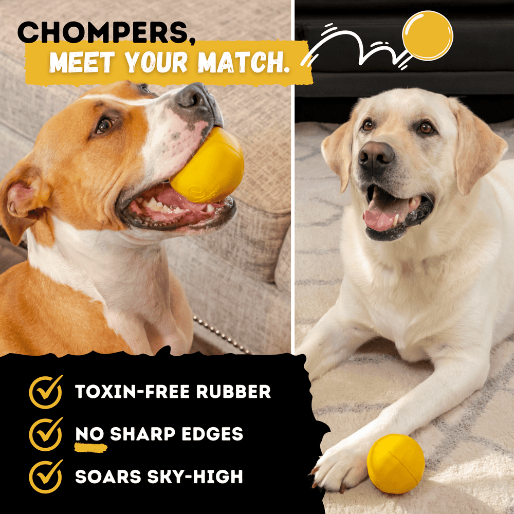 Monster K9 Dog Toys - Power Ball